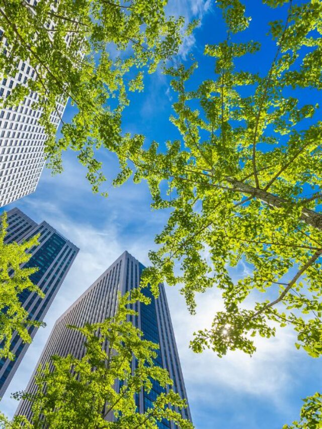 buildings and trees being seen from bottom to top