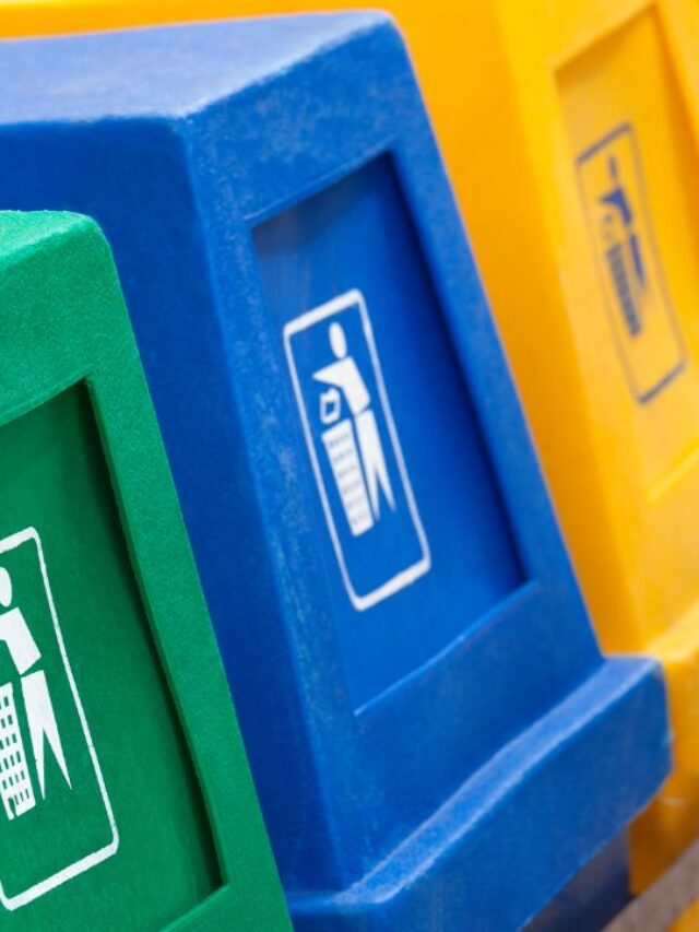 recycling bins lined up next to each other