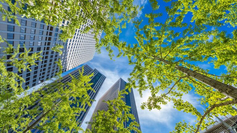 buildings and trees being seen from bottom to top