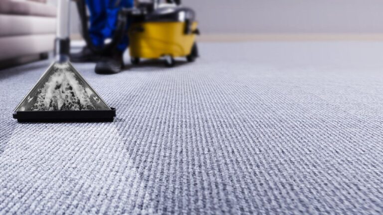 professional carpet cleaning services