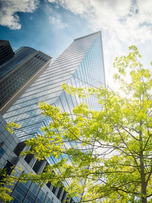 office buildings with a tree in front