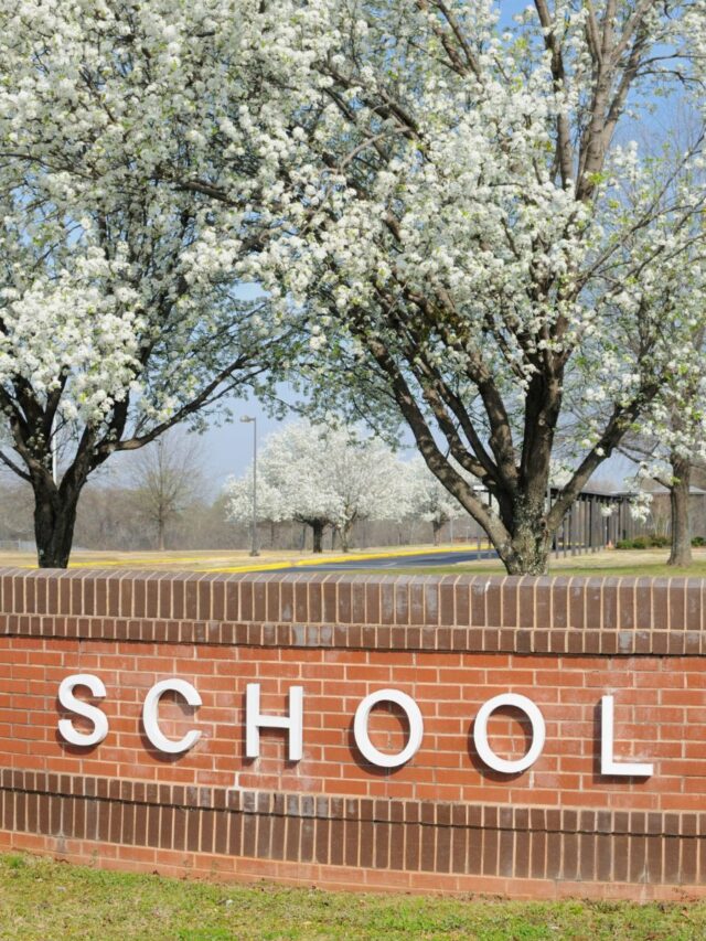 school-entrance-in-spring